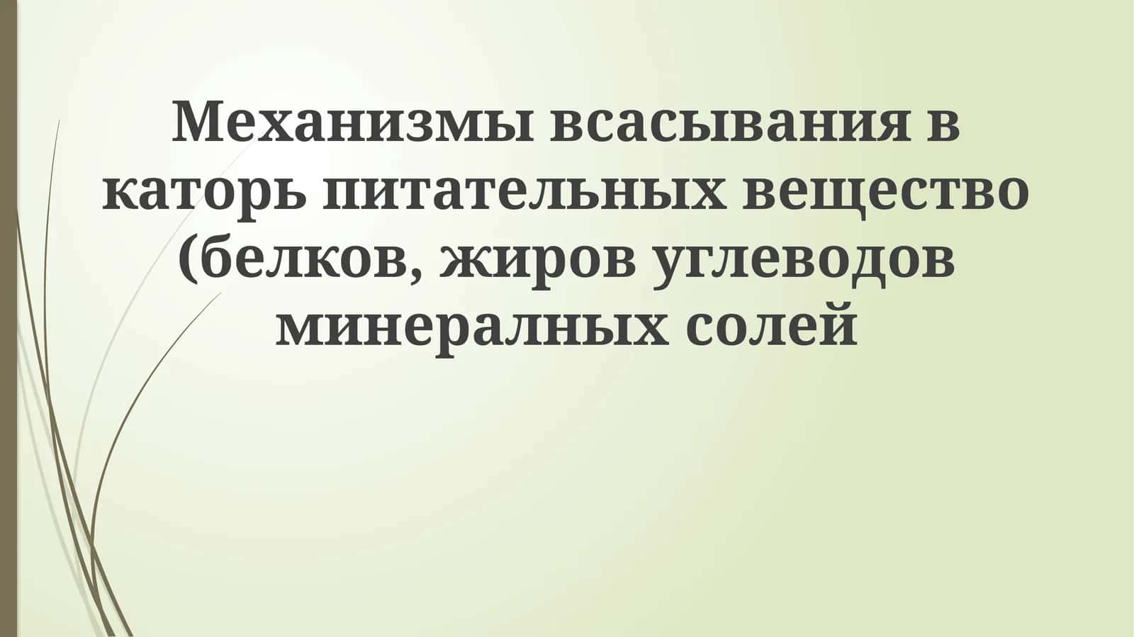 Механизмы всасывания в каторь питательных веществ (белков, жиров, углеводов, минеральных солей)