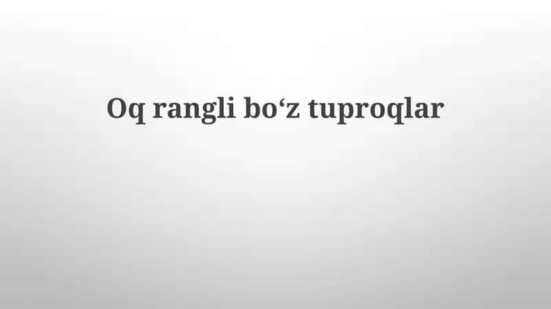 Yorugʻ sur tuproqlar