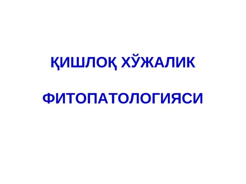 Уруғ мевали дарахтларнинг касалликлари ва уларга қарши кураш чоралари