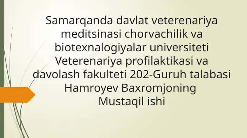 Samarqand davlat veterinariya meditsinasi chorvachilik va biotexnologiyalar universiteti Veterinariya profilaktikasi va davolash fakulteti 202-Guruh talabasi Hamroyev Baxromjonning Mustaqilishi