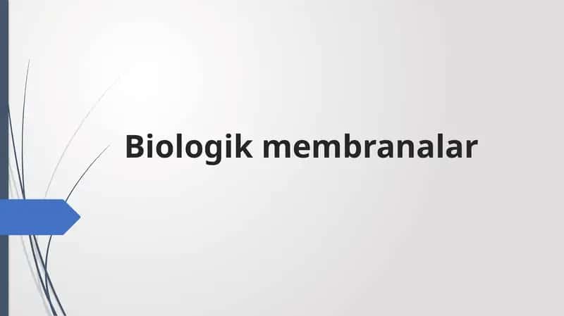 Biologikmembranalar