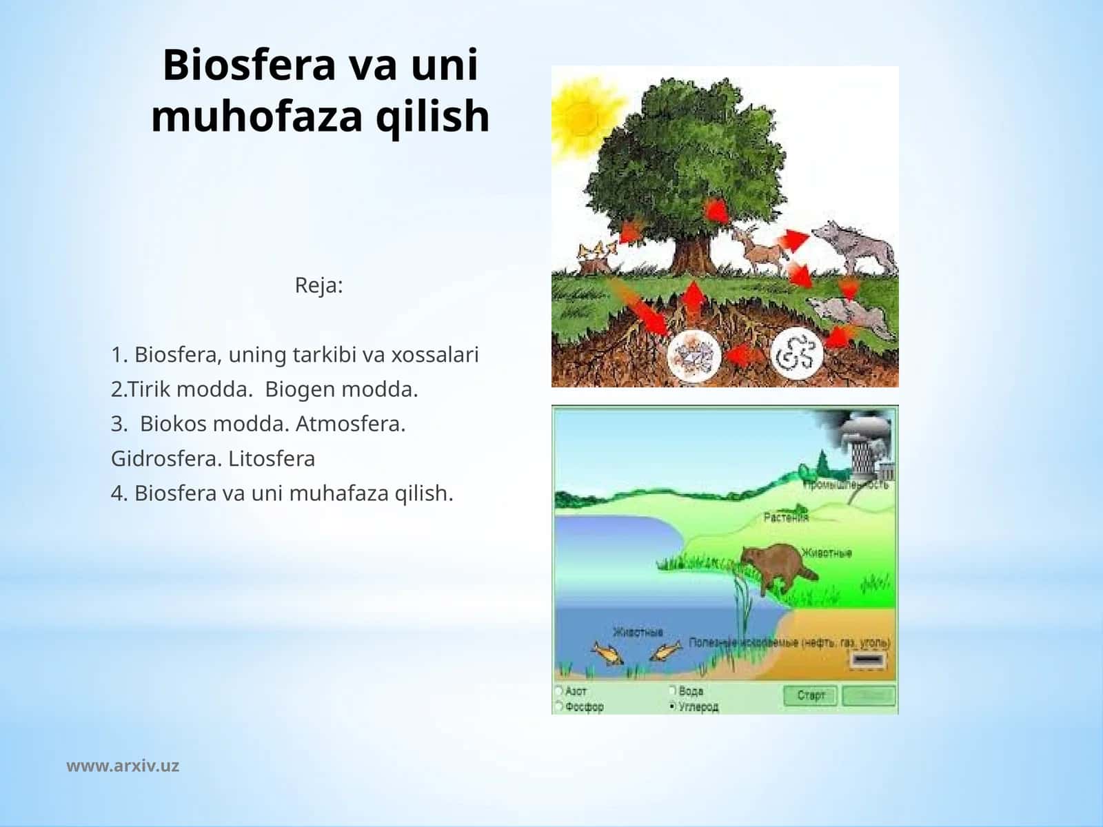 Biosfera va uni muhofaza qilish