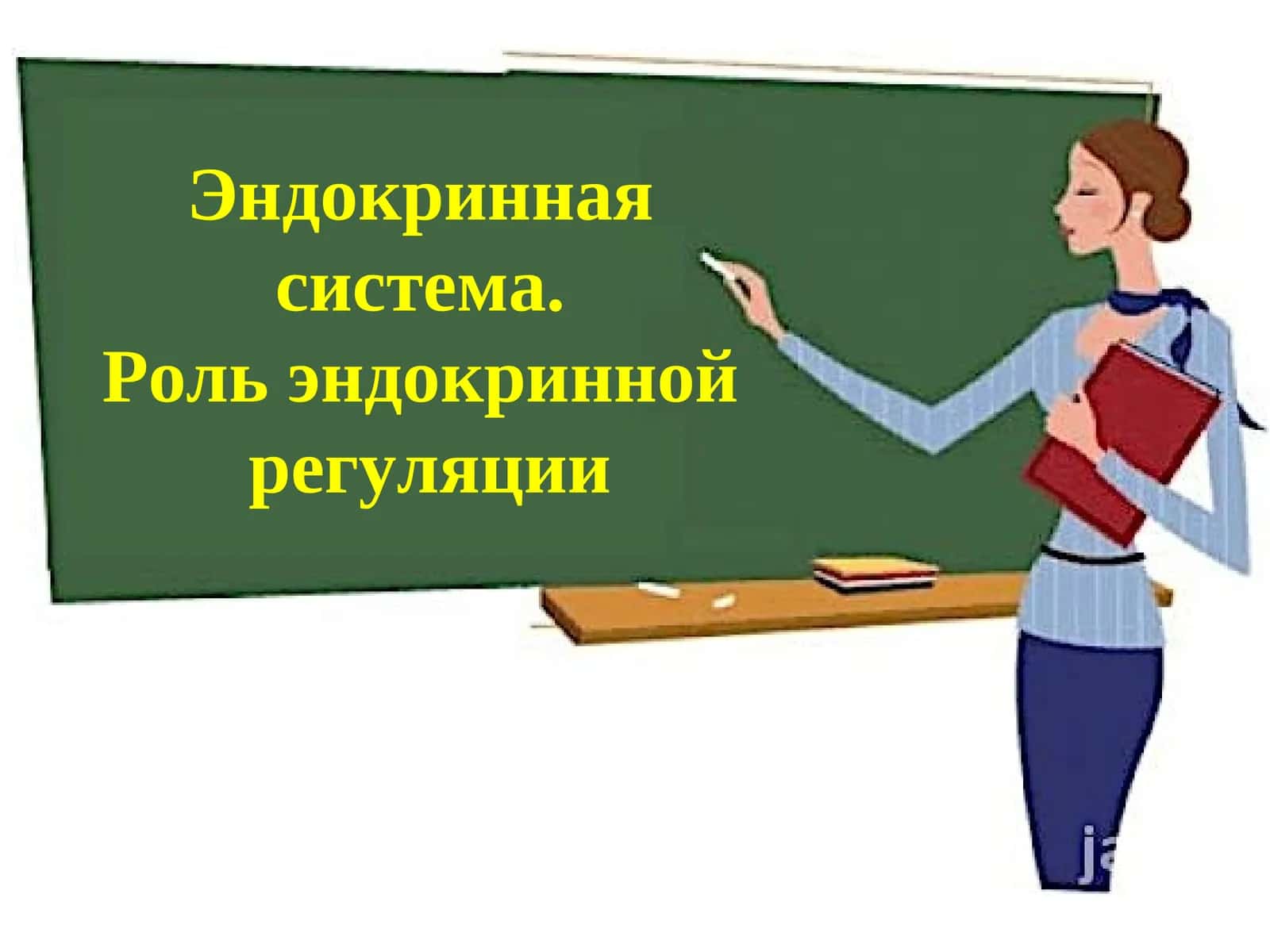 Эндокринная система. Роль эндокринной регуляции