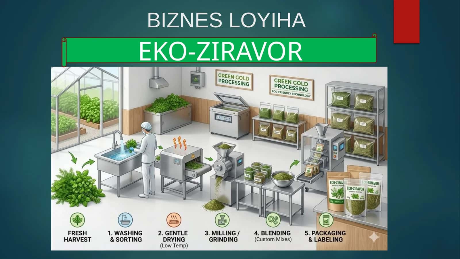 (100 millionlik loyiha ishi)  EKO-ZIRAVOR