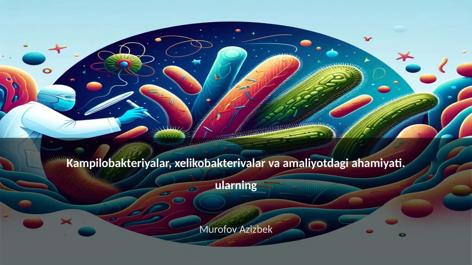 Kampilobakteriyalar, xelikobakterivalar va amaliyotdagi ahamiyati