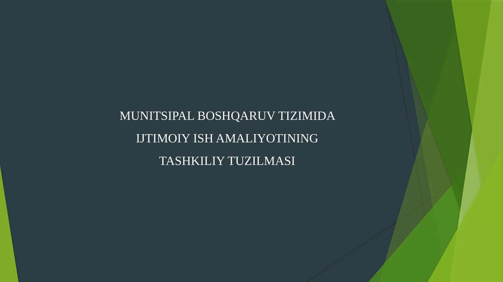 Munitsipal boshqaruv tizimida ijtimoiy ish amaliyotining tashkiliy tuzilmasi