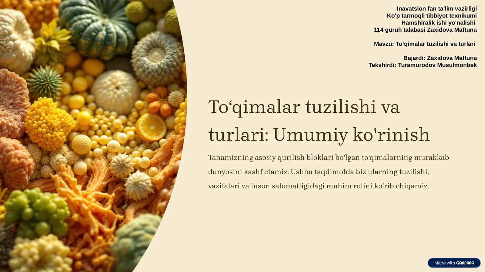 Toʻqimalar tuzilishi va turlari