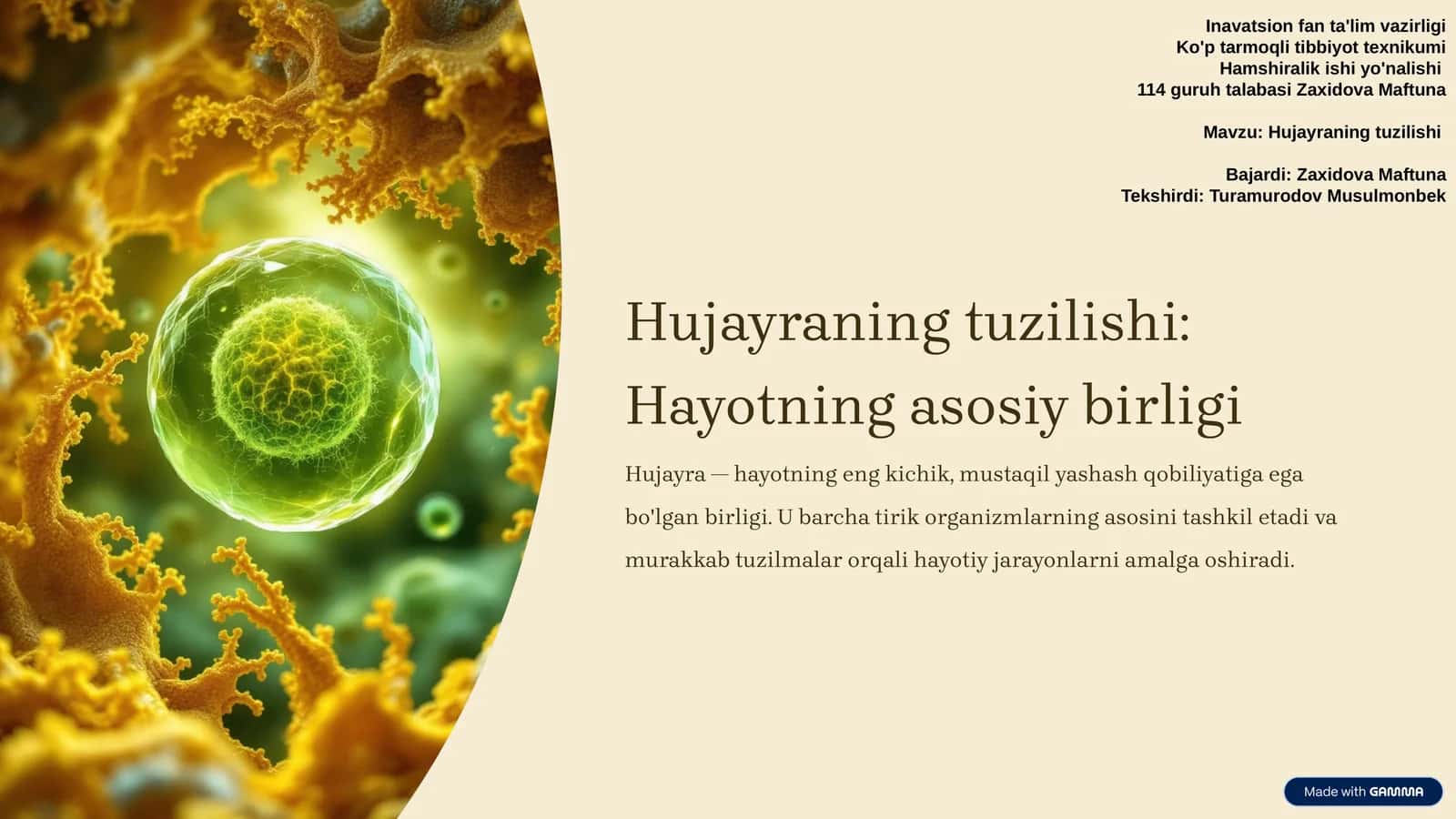 Hujayraning tuzilishi
