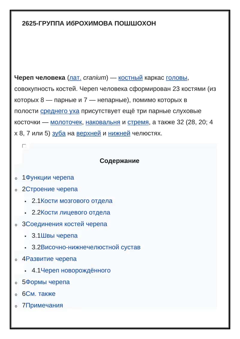 Череп человека