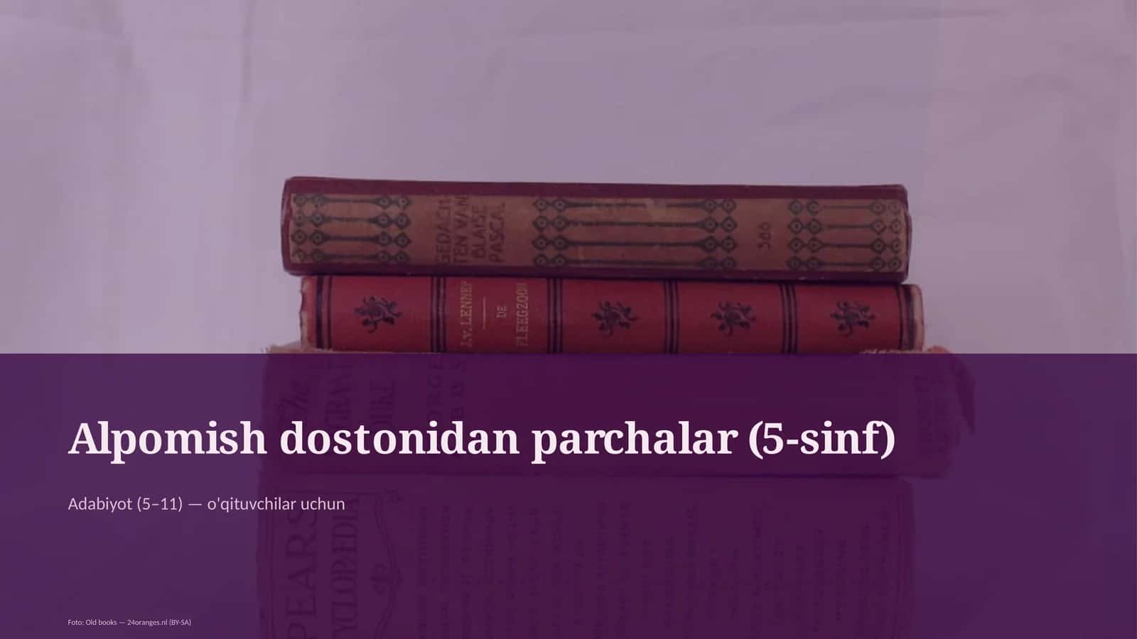 Alpomish dostonidan parchalar (5-sinf)