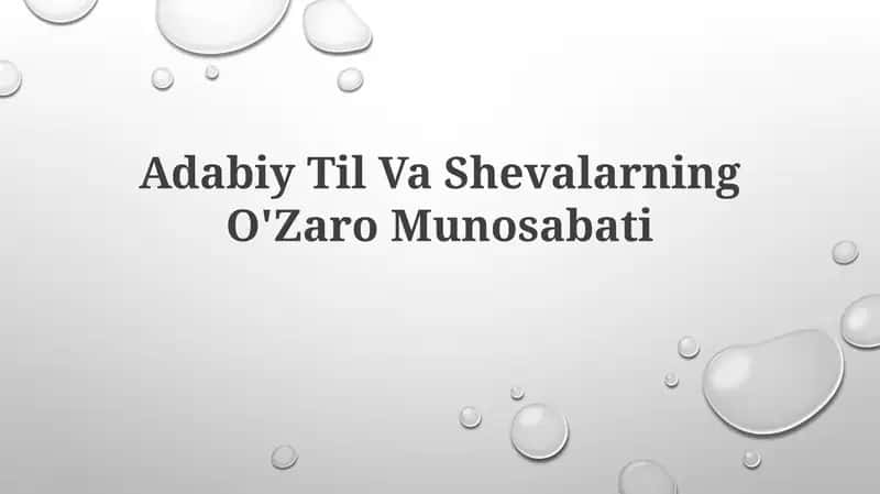 Adabiy Til Va ShevalarningO'ZaroMunosabati
