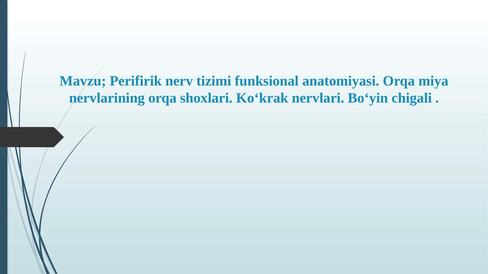 Perifirik nerv tizimi funksional anatomiyasi