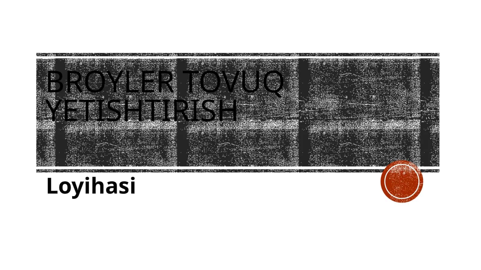 (100 millionlik loyiha ishi)  Broyler to'vush etishtirish loyihasi
