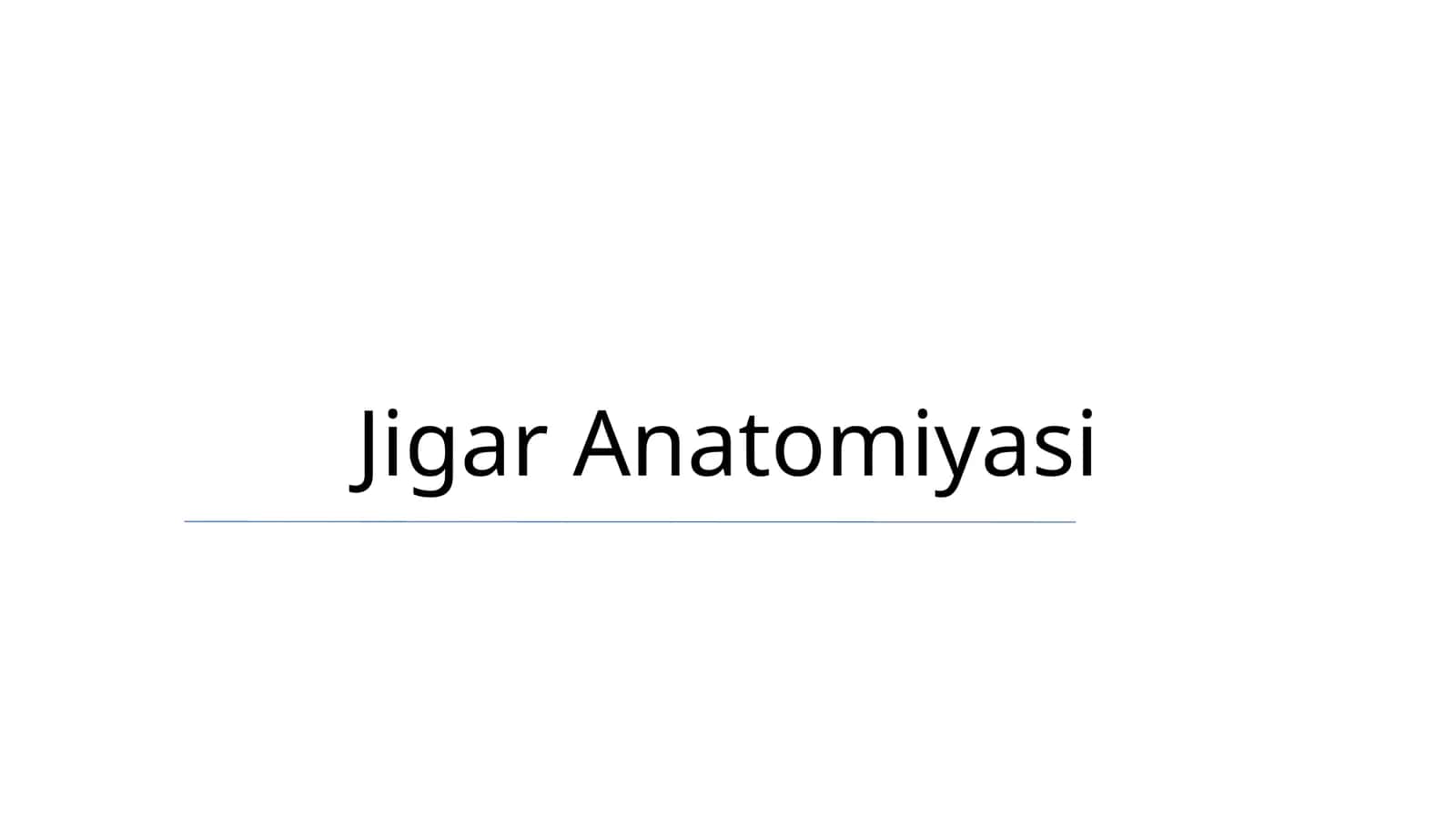 Jigar Anatomiyasi