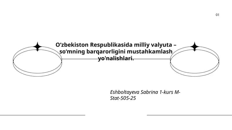 So‘mning barqarorligini mustahkamlash yo'nalishlari