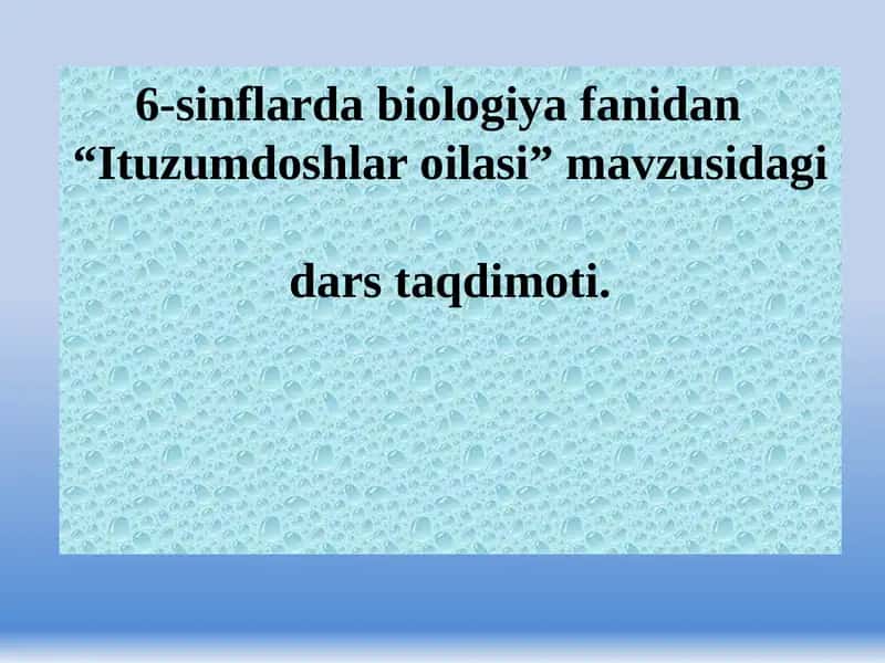 Ituzumdoshlar oilasi