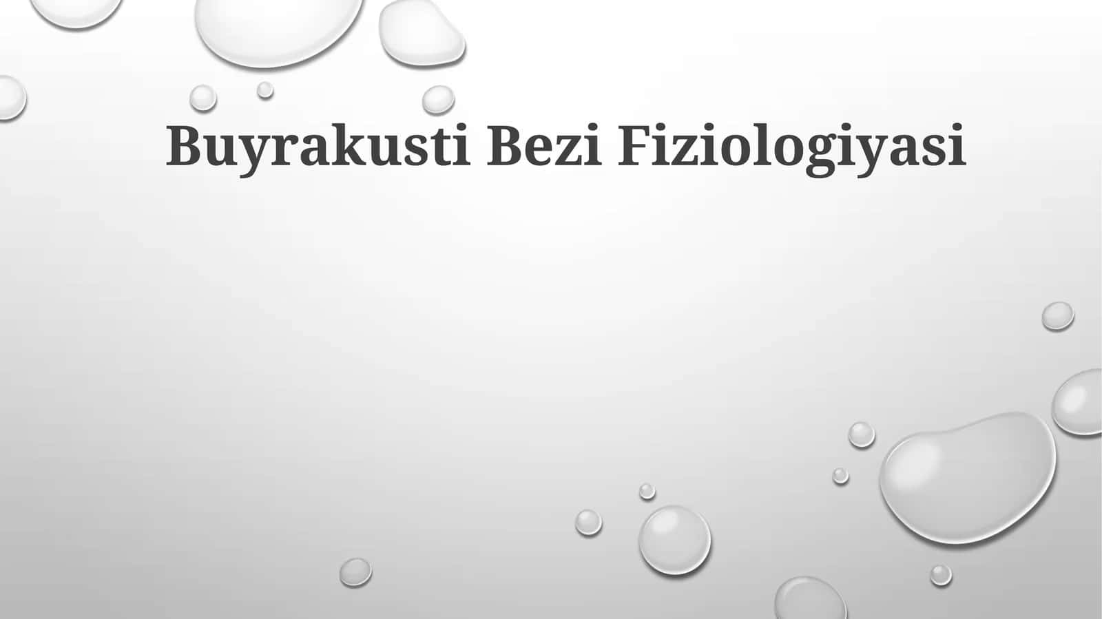 Buyrakusti Bezi Fiziologiyasi