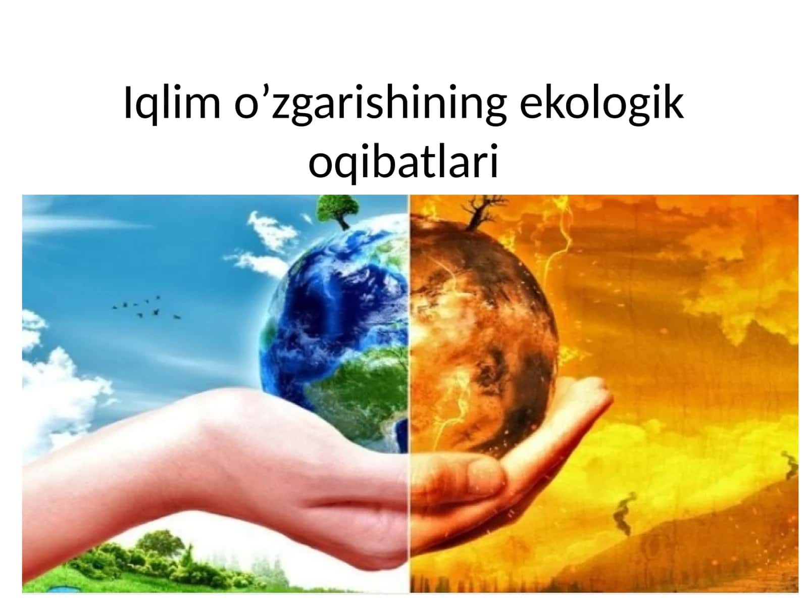 Iqlimo’zgarishining ekologik qibatlari