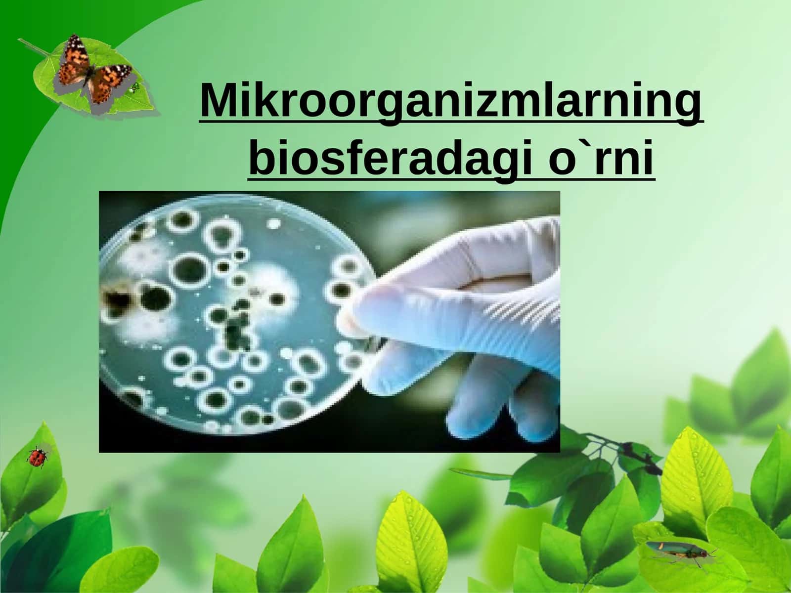 Mikroorganizmlarning biosferada gi`rni