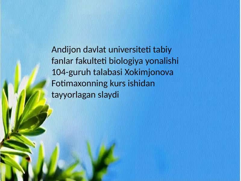 Qirqbo‘g‘imdoshlar oilasi