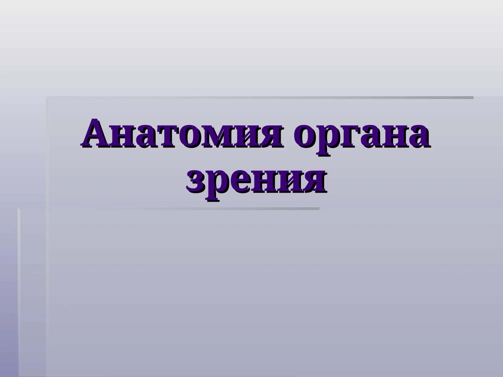 Анатомия органа зрения