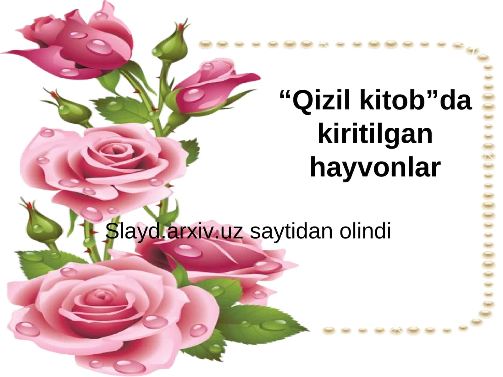 Qizil Kitob