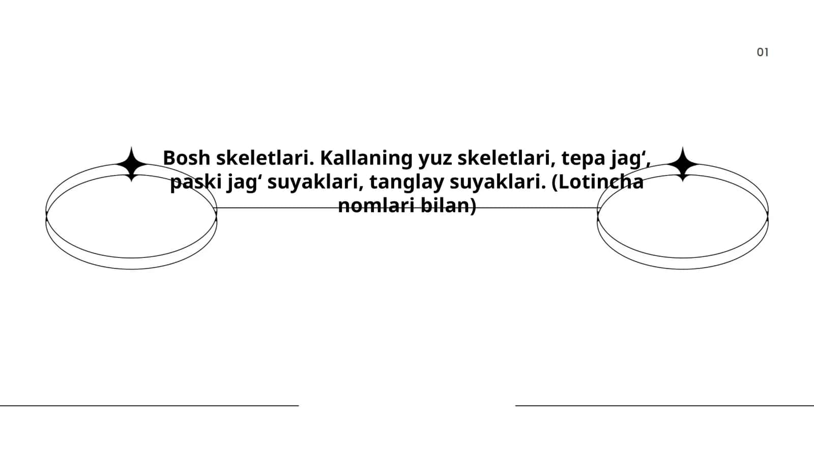 Bosh skeletlari. Kallaning yuz skeletlari, tepa jagʻ, paski jagʻ suyaklari, tanglay suyaklari