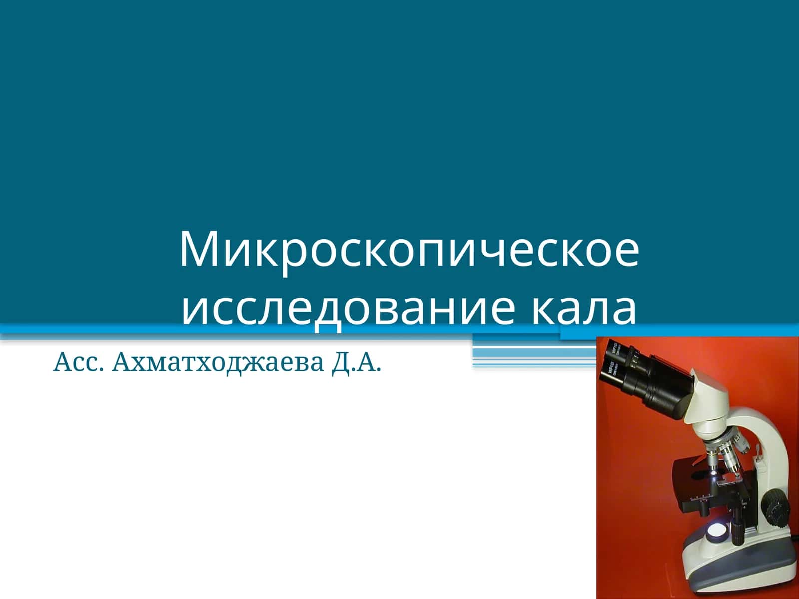 Микроскопическое исследование кала