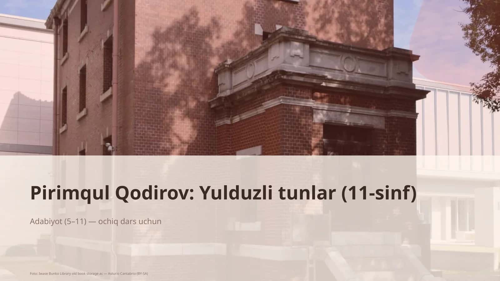 Yulduzli tunlar (11-sinf)