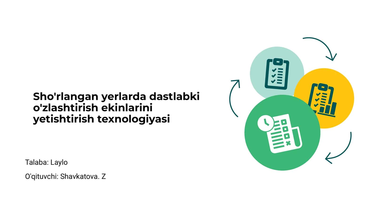 Sho'rlangan yerlarda dastlabki o'zlashtirish ekinlarini yetishtirish texnologiyasi