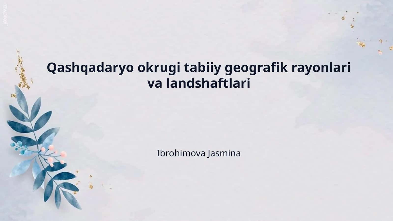 Qashqadaryo okrugi tabiiy geografik rayonlari va landshaftlari