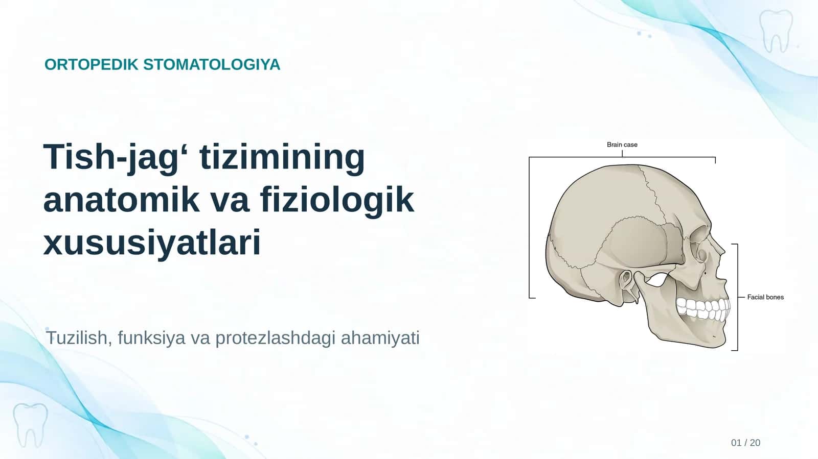 ORTOPEDIK STOMATOLOGIYA