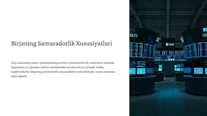Birjaning Samaradorlik Xususiyatlari
