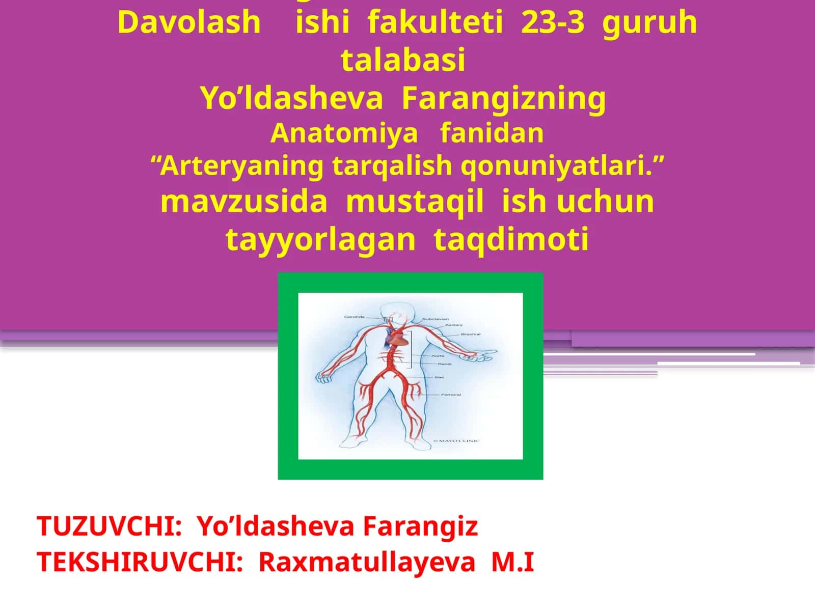 Arteryaning tarqalish qonuniyatlari
