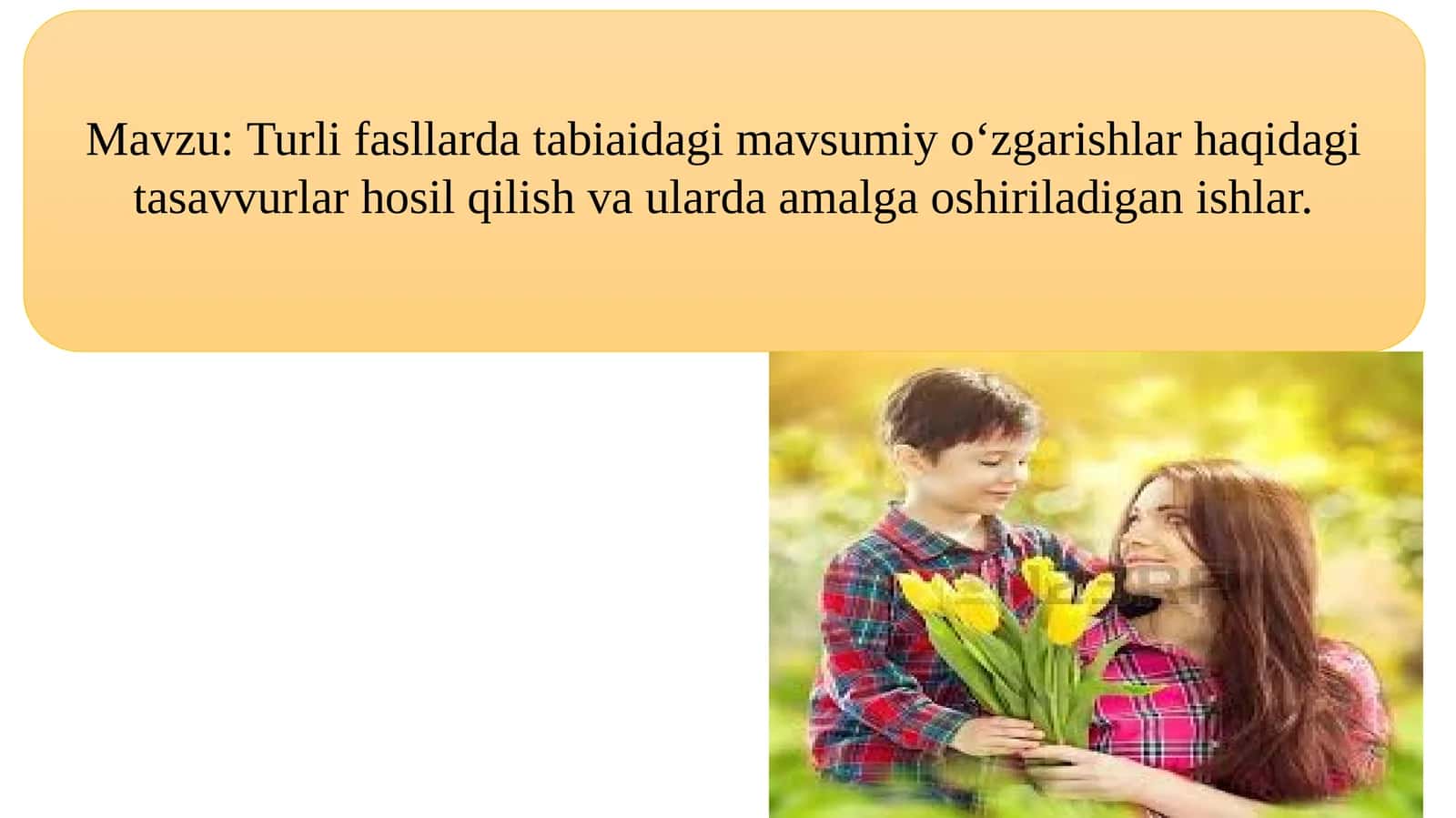 Turli fasllardatabiatdagimavsumiy o‘zgarishlar haqidagi tasavvurlar