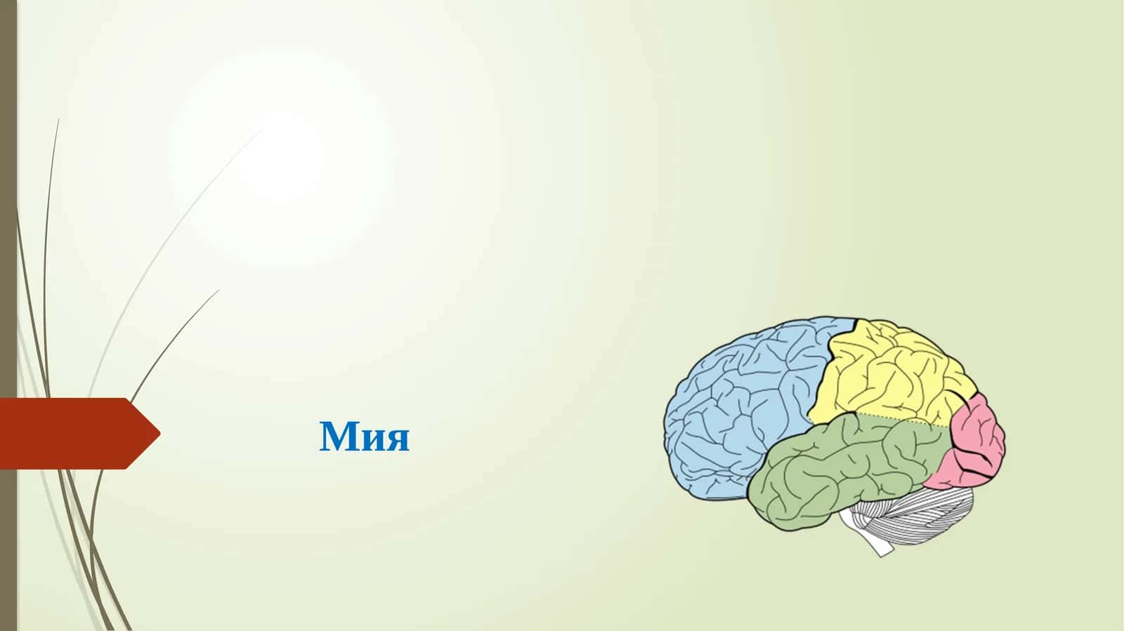 Мия