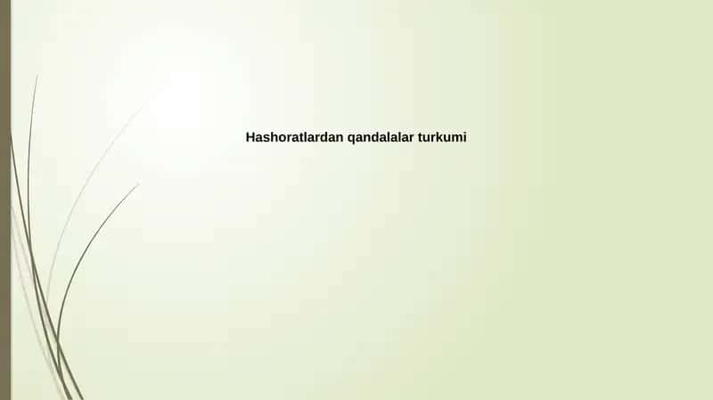 Yakontovning tadqiqotlari