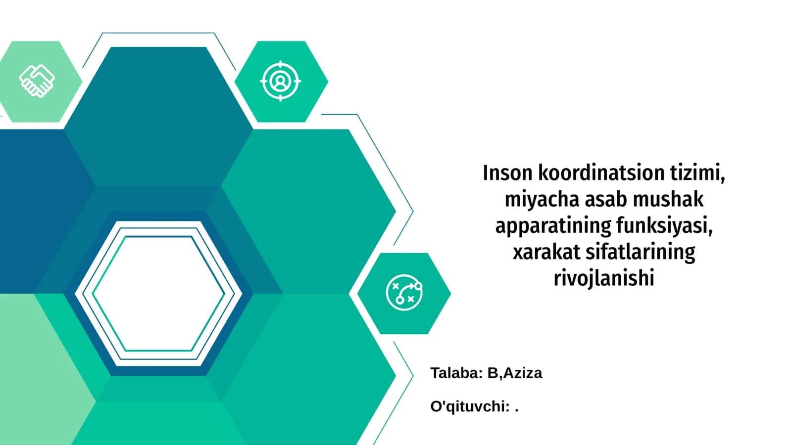 Inson koordinatsion tizimi