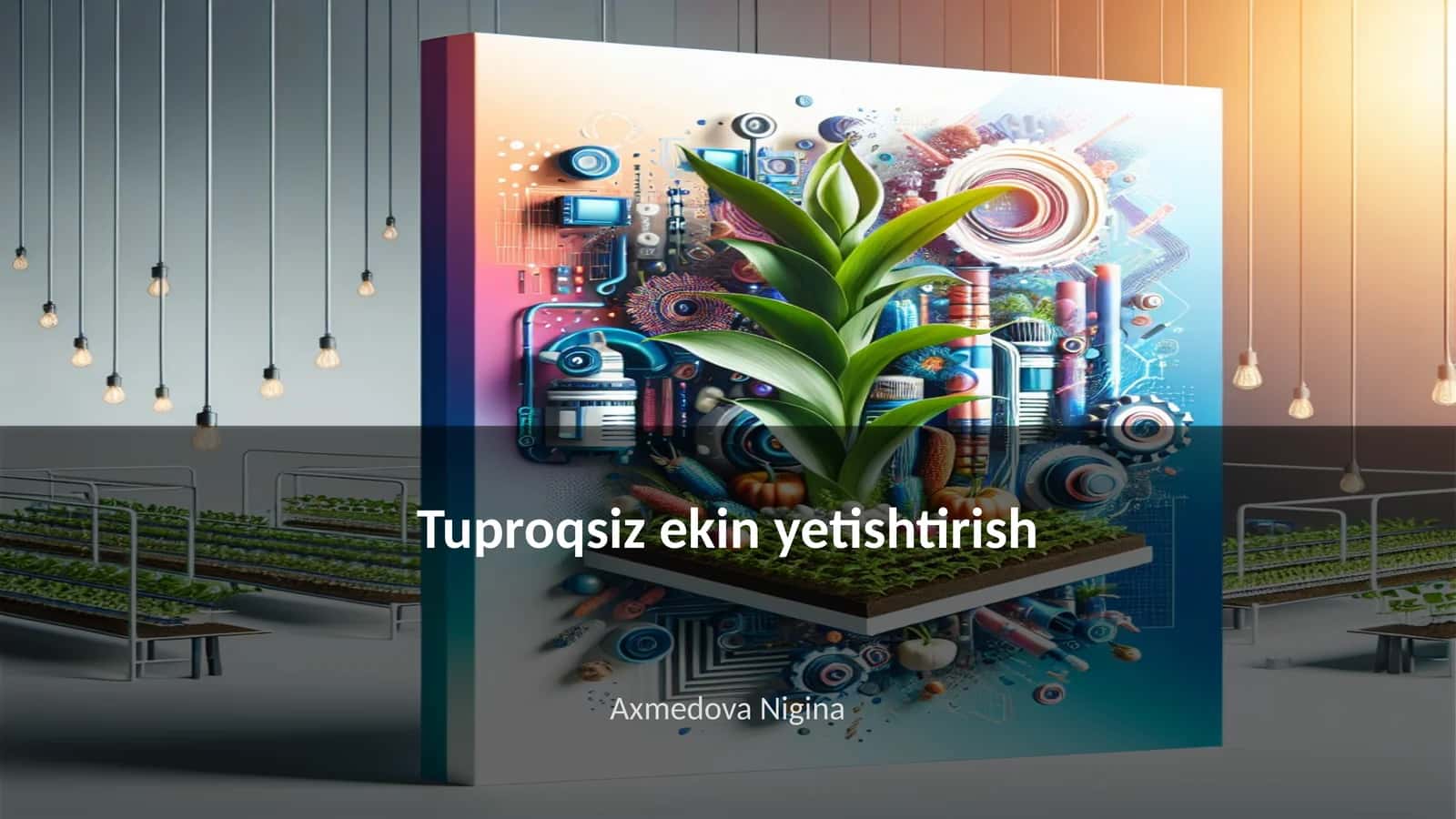 Tuproqsiz ekin yetishtirish
