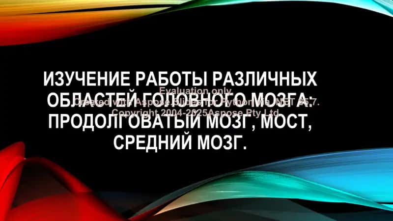 Изучение работы различных областей головного мозга