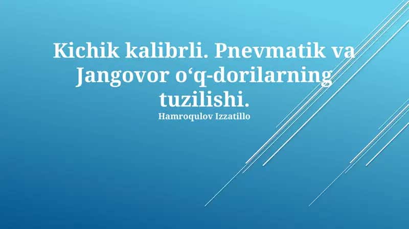 Kichik Kalibrli O'q-Dorilarning Tuzuilishi