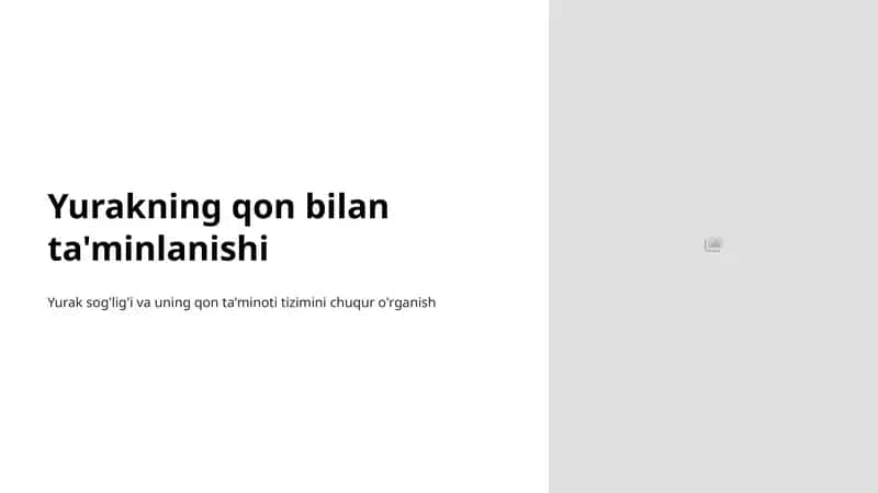 Yurakning qon bilan ta'minlanishi