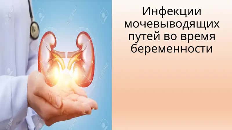 Инфекции мочевыводящих путей во время беременности