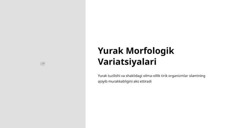 Yurak Morfologik Variatsiyalari