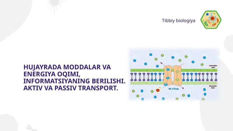 HUJAYRADA MODDALAR VA ENERGIYA OQIMI, INFORMATSIYANING BERILISHI. AKTIV VA PASSIV TRANSPORT.