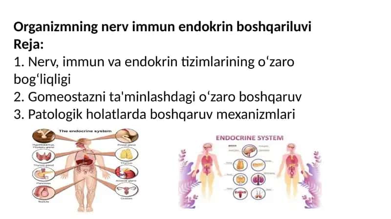 Organizmning nerv immun endokrin boshqariluvi