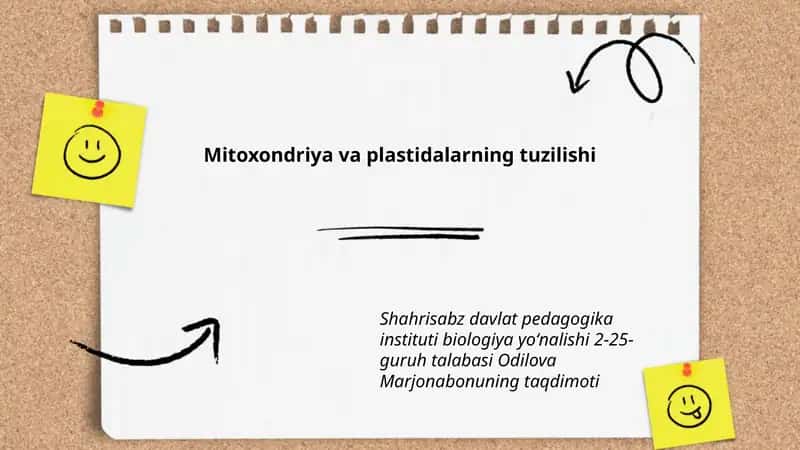 Mitoxondriya va plastidalarning tuzilishi