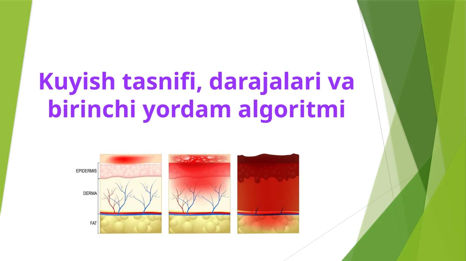 Kuyish tasnifi, darajalari va birinchi yordam algoritmi