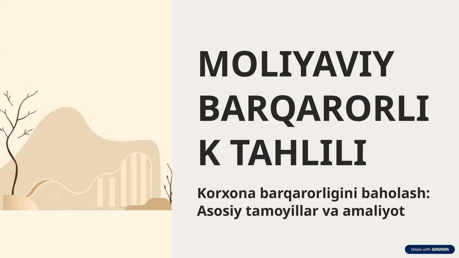 MOLIYAVIY BARQARORLIK TAHLILI