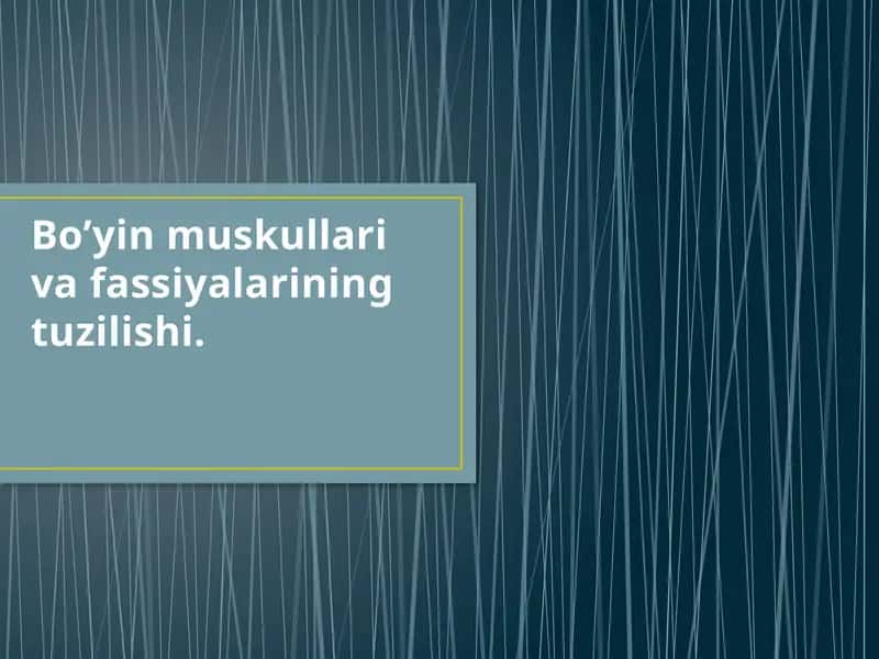 Bo’yin muskul va fassiyalarining tuzilishi